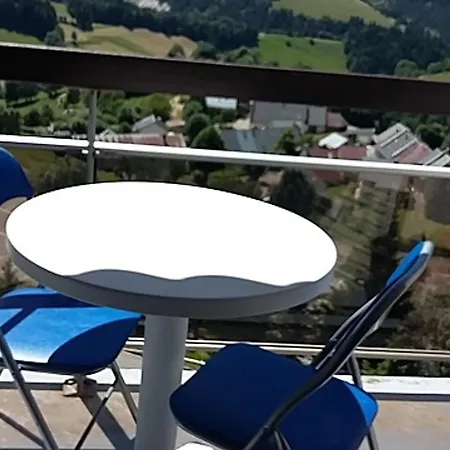 Renove Au Pied Des Pistes Avec Ascenseur A De Lans - Fr-1-515-105 Apartment Villard-de-Lans