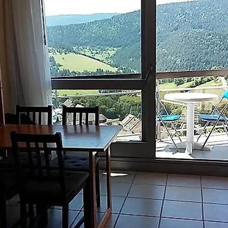 Renove Au Pied Des Pistes Avec Ascenseur A De Lans - Fr-1-515-105 *