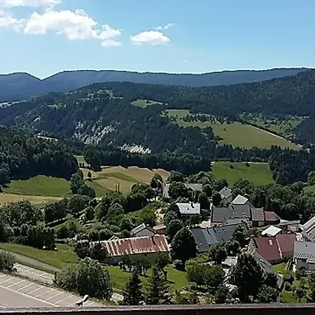 Apartment Renove Au Pied Des Pistes Avec Ascenseur A De Lans - Fr-1-515-105 *